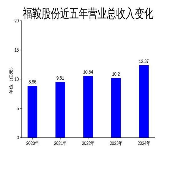 98策略 福鞍股份2024年财报：营收净利双增长，但第四季度净利润大幅下滑
