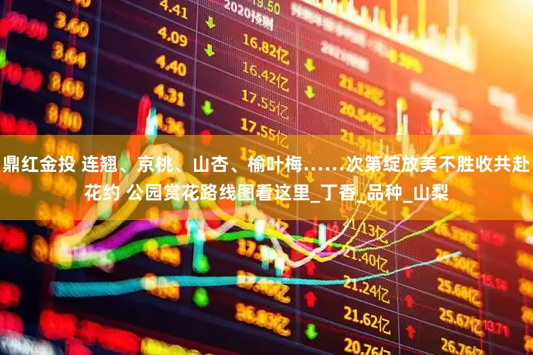 鼎红金投 连翘、京桃、山杏、榆叶梅……次第绽放美不胜收共赴花约 公园赏花路线图看这里_丁香_品种_山梨