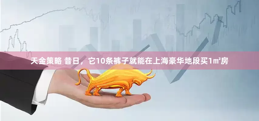 天金策略 昔日，它10条裤子就能在上海豪华地段买1㎡房