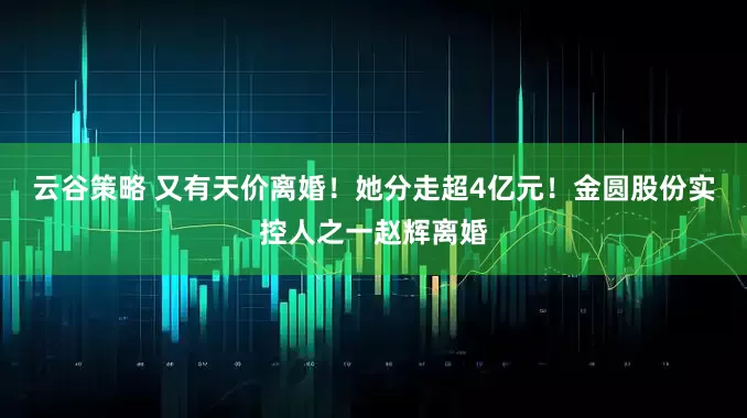云谷策略 又有天价离婚！她分走超4亿元！金圆股份实控人之一赵辉离婚