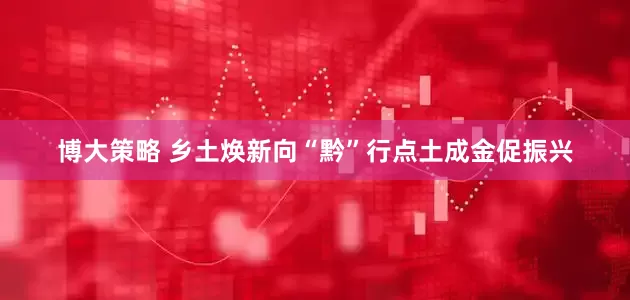 博大策略 乡土焕新向“黔”行点土成金促振兴